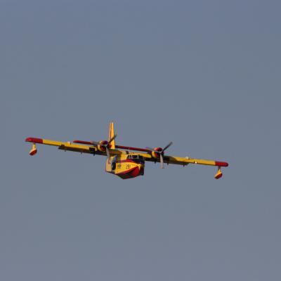 Img 4118