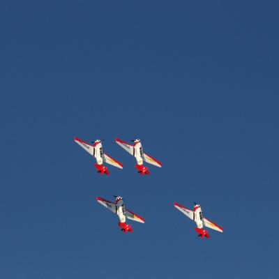 Img 4311