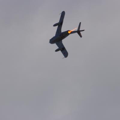 Img 4649