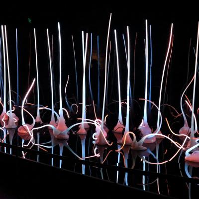 Chihuly 1